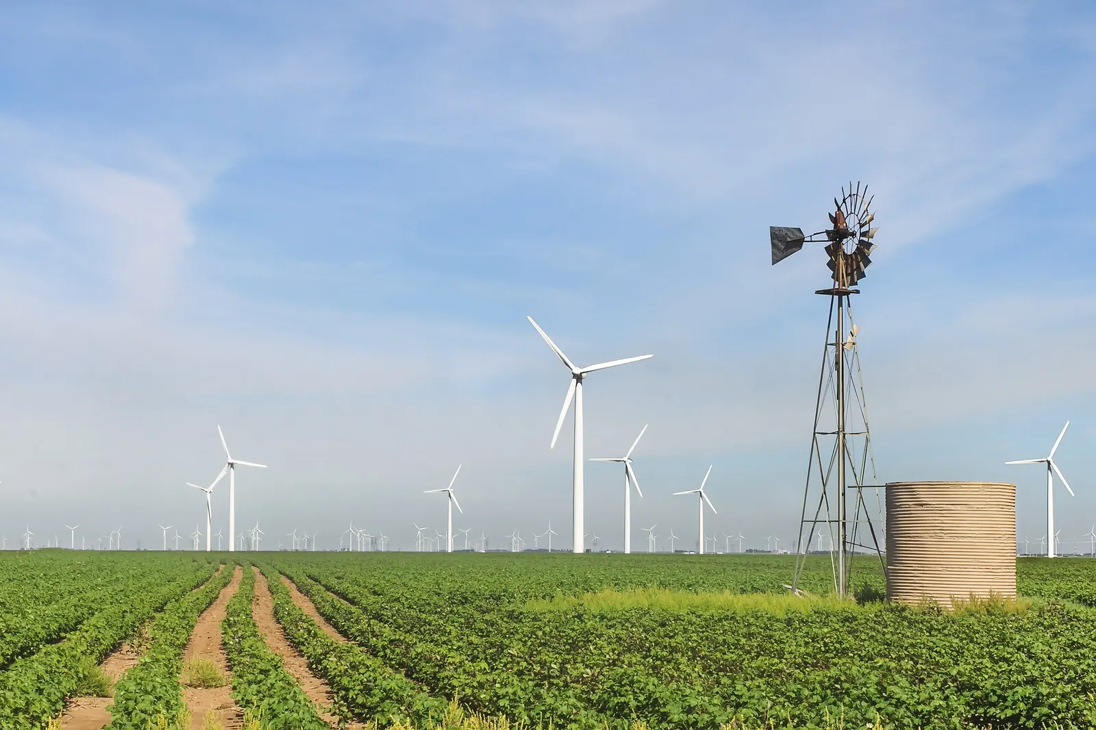 Wind turbines at the Roscoe Wind Farm in West Texas