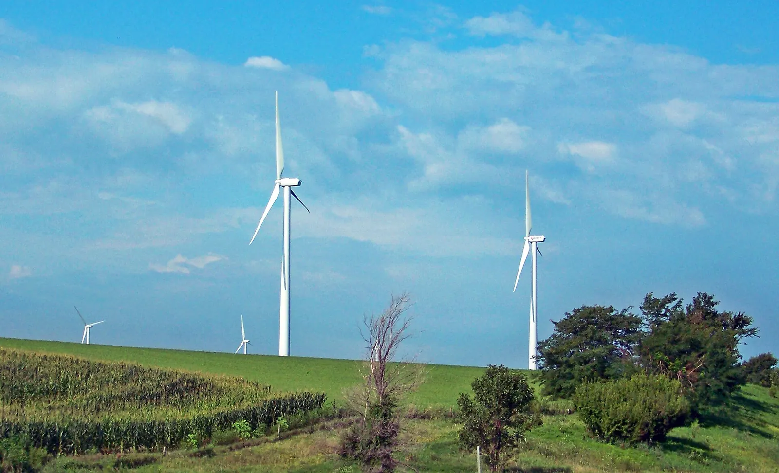 Wind turbines at the Adair Wind Farm, Iowa